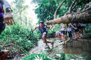 BIB: 
                            <button type="button" onclick="openModal(25456264)" class="btn btn-primary btn-sm float-right btn-popup" data-toggle="modal" data-target=".modal-high-quality">
                        <i class="fas fa-shopping-cart"></i> Add to Cart
                    </button>
                                            <button type="button" onclick="isThisMe(25456264, true)" class="btn btn-success btn-sm float-right btn-popup btn-isme hidden" data-toggle="tooltip" data-placement="bottom" title="นี่คือรูปของคุณใช่ไหม คลิกที่นี่เพื่อเอาเข้าอัลบั้ม">
                        <i class="fas fa-plus"></i> Add to album
                    </button>
                    <button type="button" onclick="isThisMe(25456264, false)" class="btn btn-warning btn-sm float-right btn-popup btn-isnotme hidden">
                        <i class="fas fa-ban"></i> Remove from album
                    </button>